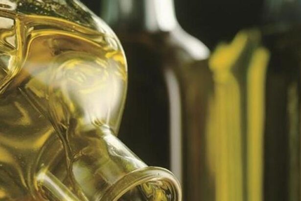 extremadura-retiene-mas-de-60.000-litros-de-aceite-y-tranquiliza-sobre-el-riesgo-para-la-salud