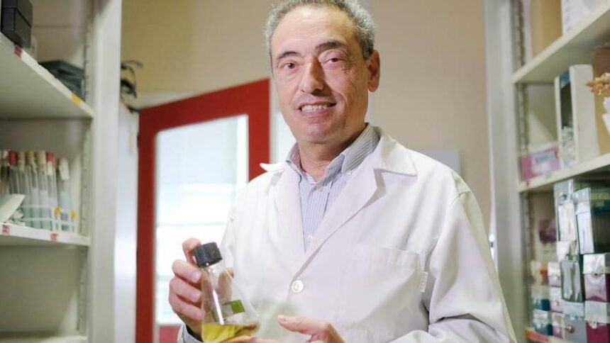 carlos-martin:-«la-vacuna-de-la-tuberculosis-puede-erradicar-la-peor-lacra-de-la-historia»
