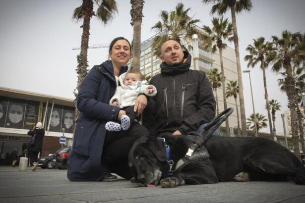 charlot,-el-perro-guia-al-que-el-hospital-del-mar-abrio-las-puertas-mientras-yuri-nacia