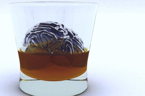 el-alcohol-dana-el-cerebro-incluso-semanas-despues-de-dejar-de-beber