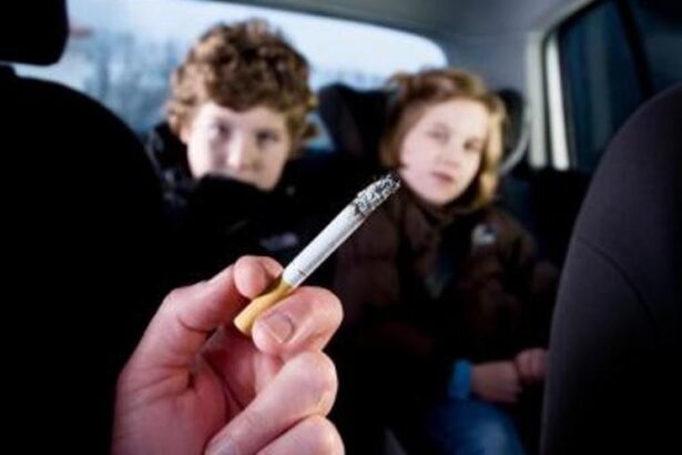 el-40%-de-los-padres-fuman-en-casa:-oncologos-y-escuelas-se-alian-para-sacar-el-humo-de-los-hogares