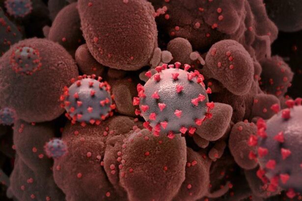 la-oms-lanza-una-red-mundial-para-detectar-y-prevenir-amenazas-de-enfermedades-infecciosas