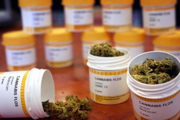 cannabis:-especialistas-en-dolor-piden-una-ley-que-contemple-su-uso-en-pacientes-oncologicos