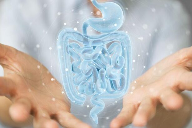 si,-el-estres-ataca-el-sistema-digestivo:-asi-funciona-el-intestino,-nuestro-segundo-cerebro