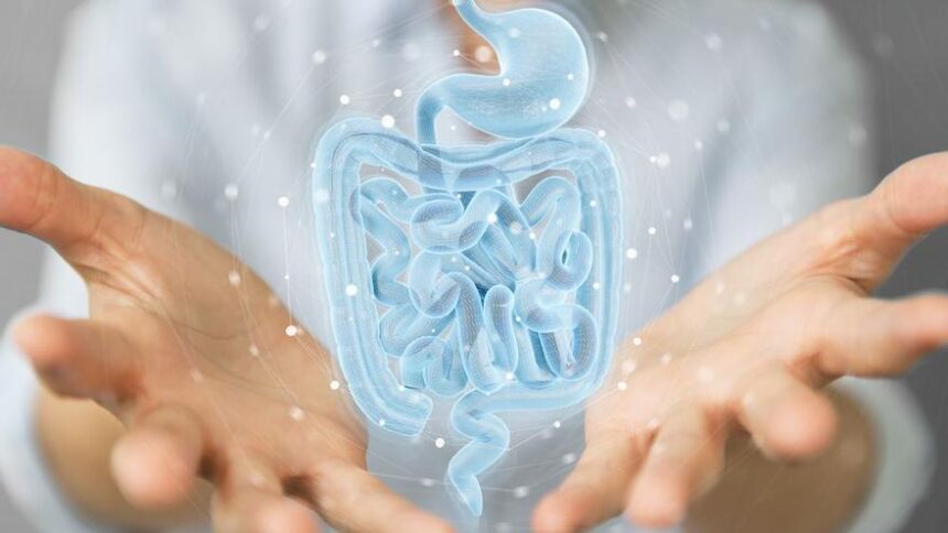 si,-el-estres-ataca-el-sistema-digestivo:-asi-funciona-el-intestino,-nuestro-segundo-cerebro