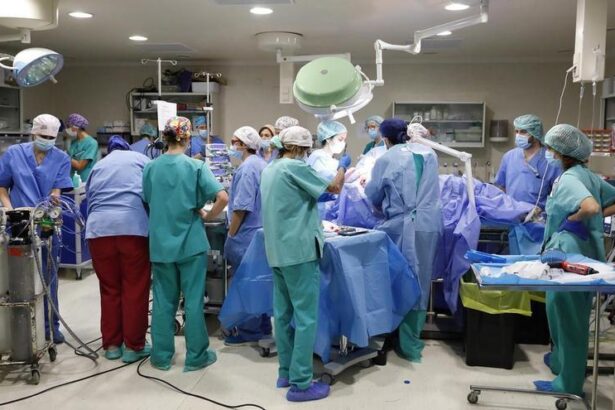 una-placenta-artificial-unica-en-europa-logra-que-el-feto-sobreviva-12-dias-en-buen-estado