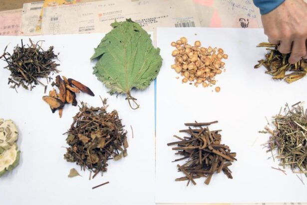 yoga,-plantas,-acupuntura,-terapias-indigenas…-la-medicina-tradicional-en-el-punto-de-mira-de-la-oms
