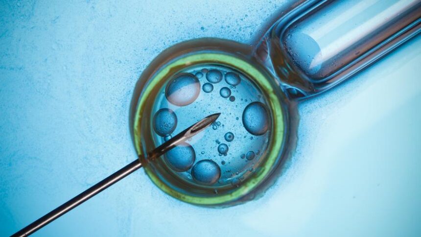 barcelona-se-convierte-en-el-destino-europeo-del-«turismo-de-fertilidad»-por-excelencia