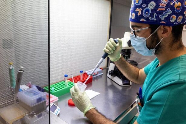 el-covid-reduce-la-produccion-de-espermatozoides-y-empeora-su-calidad-mas-alla-de-100-dias