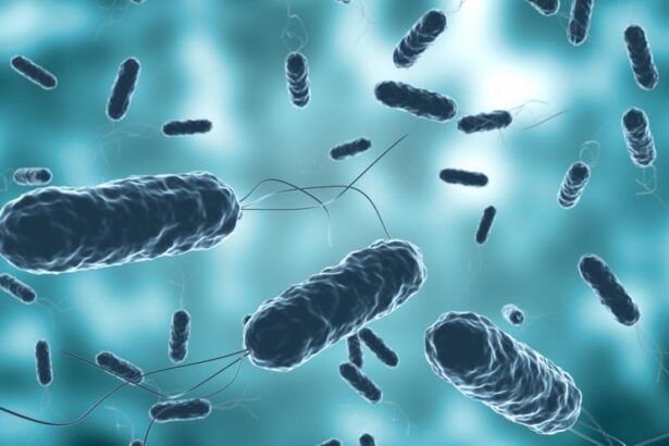 ¿existen-las-‘bacterias-carnivoras’?-los-intensivistas-responden:-«no,-no-como-tal»