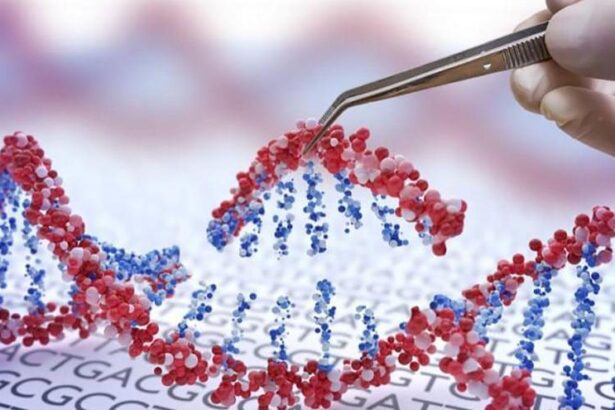 sanidad-incorpora-nuevas-pruebas-geneticas:-un-test-servira-para-elegir-el-farmaco-y-la-dosis-en-algunos-pacientes