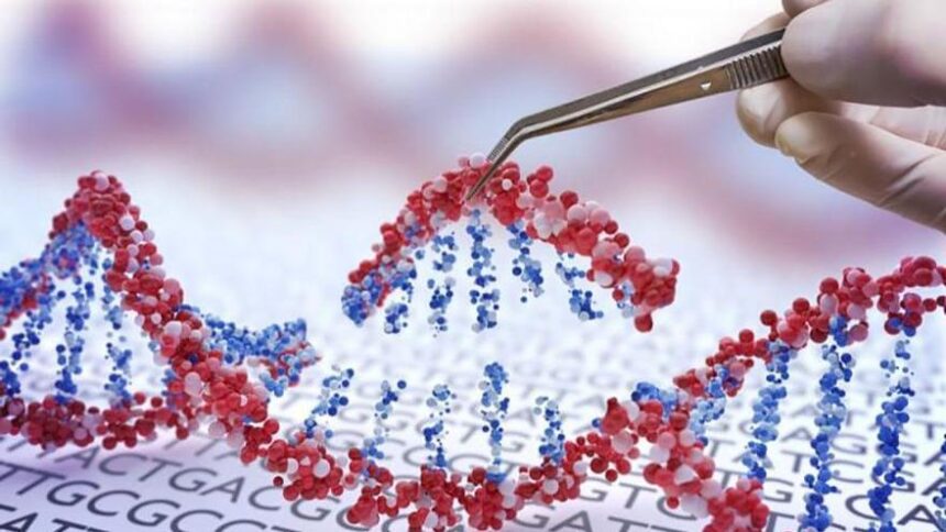 sanidad-incorpora-nuevas-pruebas-geneticas:-un-test-servira-para-elegir-el-farmaco-y-la-dosis-en-algunos-pacientes