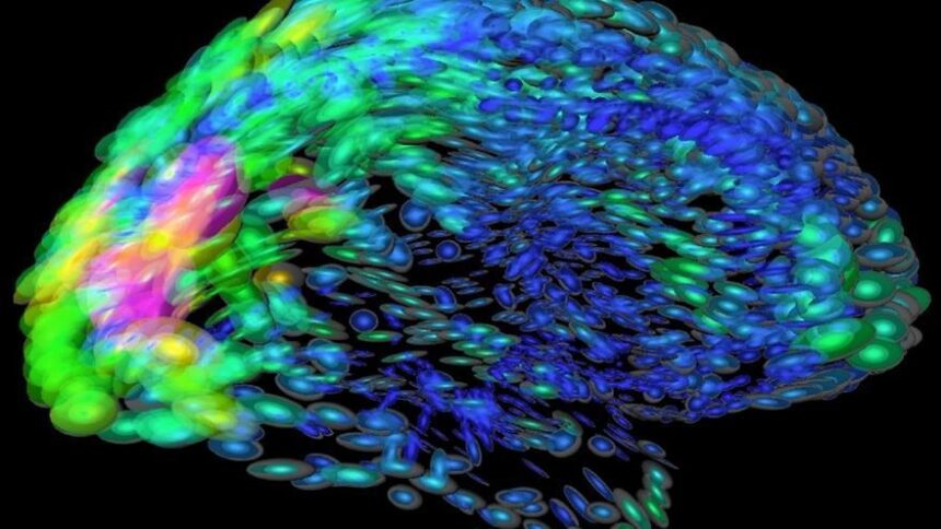 ictus,-alzheimer,-parkinson,-ela…-mas-de-9-millones-de-espanoles-tienen-una-enfermedad-neurologica
