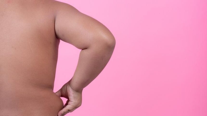 los-pediatras,-preocupados-por-los-«alarmantes-indices»-de-obesidad-de-los-ninos-espanoles