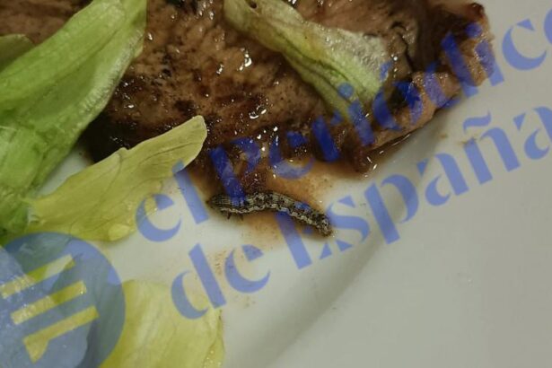 gusanos-en-la-comida-y-agua-marron:-los-sanitarios-de-la-paz-denuncian-el-mal-servicio-de-alimentacion-del-hospital