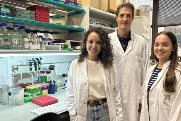 descubierto-un-mecanismo-que-favorece-la-metastasis-y-podria-evitar-las-recaidas-en-cancer-de-mama