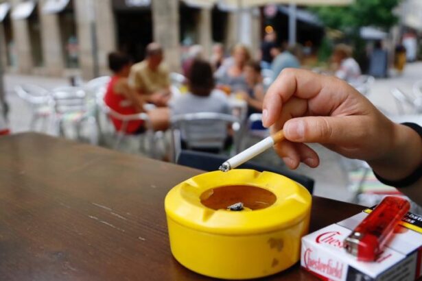 presentan-188.000-firmas-ante-sanidad-para-reclamar-la-prohibicion-del-tabaco-en-las-terrazas