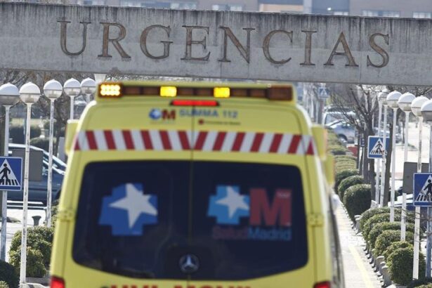 la-gripe-a-sigue-presionando-las-urgencias-de-los-hospitales:-«esta-en-la-champions-league-de-los-virus»