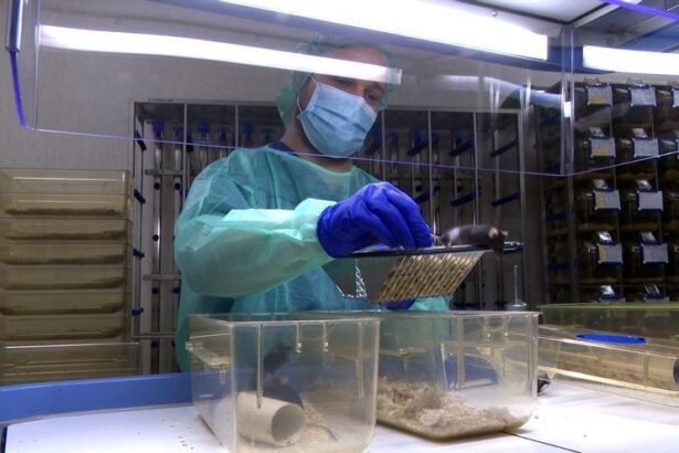 un-nuevo-antibiotico-obtiene-resultados-prometedores-contra-una-bacteriana-multirresistente