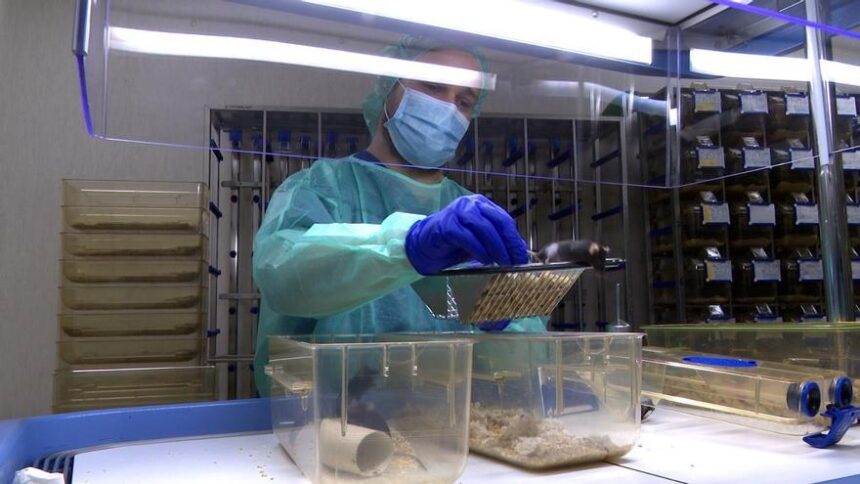 un-nuevo-antibiotico-obtiene-resultados-prometedores-contra-una-bacteriana-multirresistente