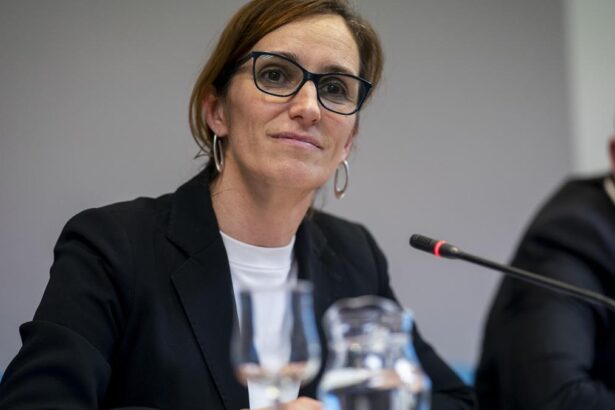 sanidad-plantea-la-«autojustificacion-de-bajas-de-tres-dias»-ante-el-pico-de-contagios-de-gripe