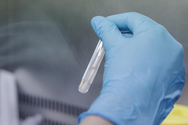 un-‘plot-twist’-genetico:-como-un-virus-primitivo-se-ha-convertido-en-esencial-para-la-creacion-de-la-vida