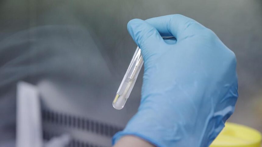 un-‘plot-twist’-genetico:-como-un-virus-primitivo-se-ha-convertido-en-esencial-para-la-creacion-de-la-vida