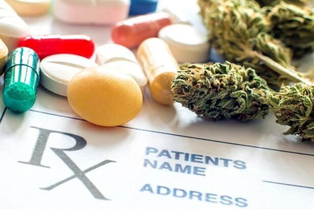 inquietud-medica-ante-la-regulacion-del-cannabis-medicinal:-«normaliza,-aun-mas,-el-consumo-entre-adolescentes»