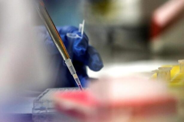 los-hospitales-necesitan-un-20%-mas-de-patologos-para-mejorar-y-agilizar-los-diagnosticos-en-enfermedades-como-el-cancer
