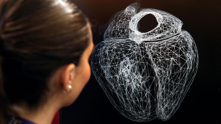 un-corazon-virtual-«gemelo»-al-humano-permitira-detectar-enfermedades-congenitas-mas-precozmente