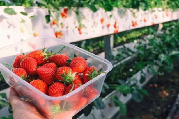 «cuidado-con-la-hepatitis-a!»,-el-aviso-de-los-hepatologos-sobre-el-riesgo-de-comer-fresas-contaminadas
