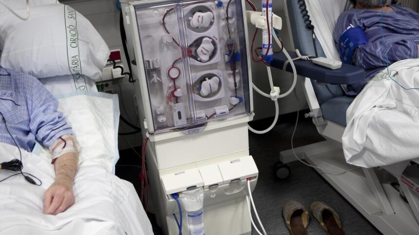 avance-imparable-de-la-enfermedad-renal-cronica:-casi-70.000-espanoles-necesitan-dialisis-o-un-trasplante-para-vivir