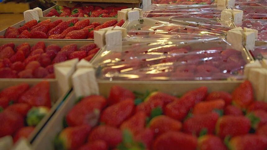 sanidad,-sobre-los-nuevos-casos-de-fresas-contaminadas-con-hepatitis-a:-«los-controles-cumplen-todos-los-requisitos»