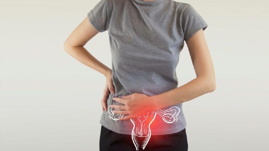 en-espana-se-detectaran-este-ano-mas-de-2.200-casos-de-cancer-de-cuello-de-utero,-uno-de-los-tumores-mas-prevenibles