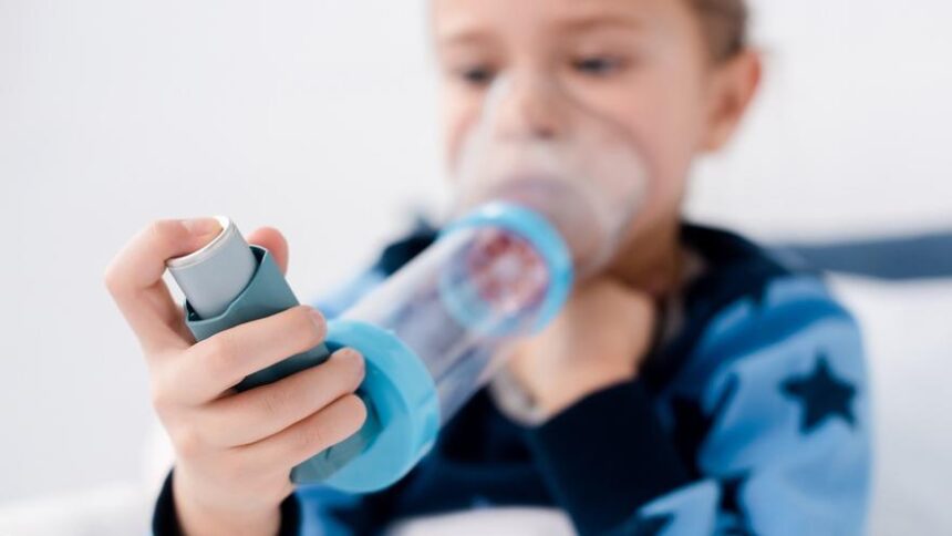 la-exposicion-temprana-a-la-contaminacion-favorece-el-desarrollo-del-asma-que-ya-afecta-a-400.000-ninos-espanoles