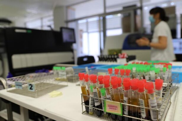la-apuesta-por-los-antivirales-hace-que-espana-este-a-un-paso-de-ser-el-primer-pais-en-eliminar-la-hepatitis-c