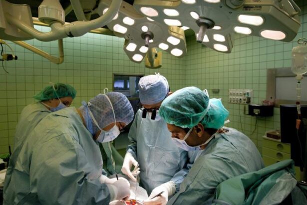 la-oms-aprueba-una-resolucion-por-iniciativa-espanola-para-facilitar-trasplantes-en-el-mundo